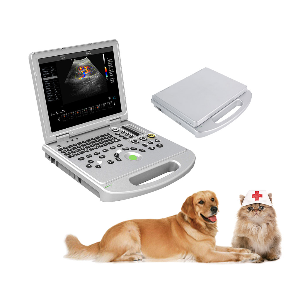 LTUB11V portable 3D/4D ultrasound machine laptop color doppler veterinary ultrasound scanner