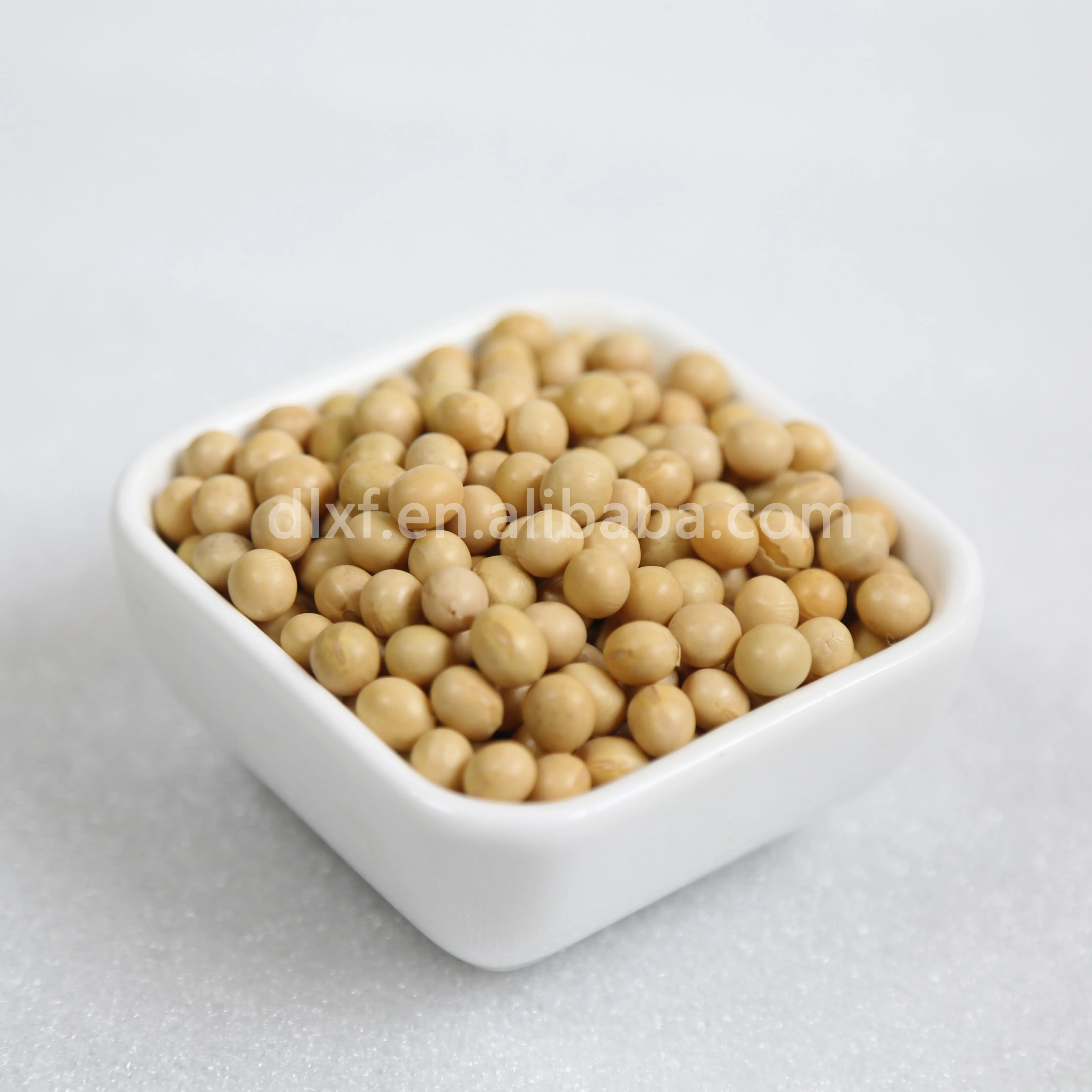 Low MOQ 500KG soybean for sprouting food oil high protein china export wholesale price