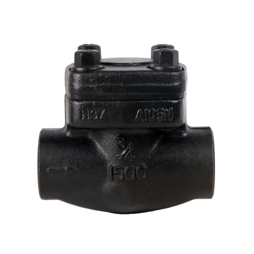 Tyco Valve API Class800 Class 1500 SW BW NPT Thread A105 Forged Steel Swing Check Valve