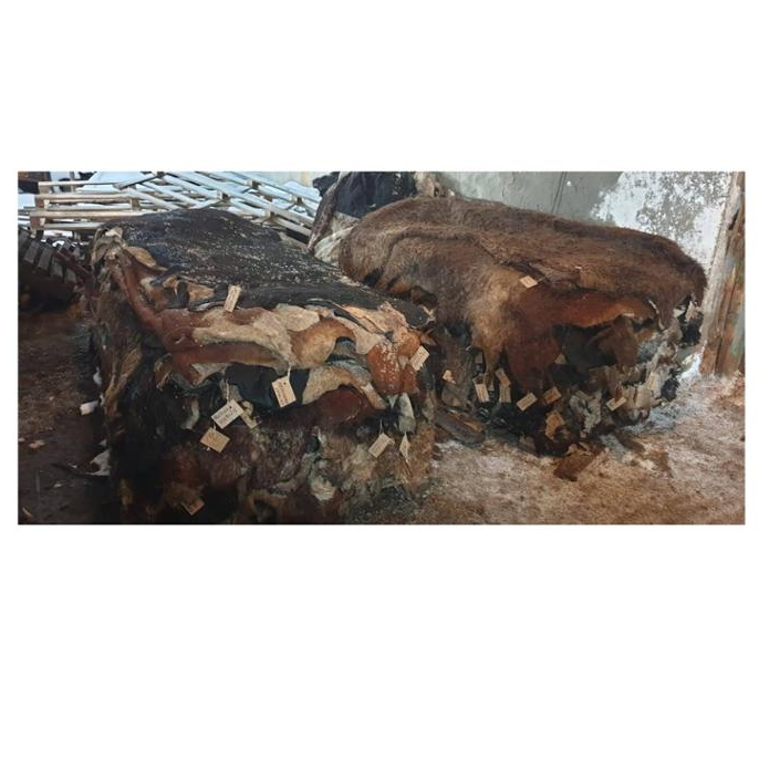 Мокрая соленая коровья кожа