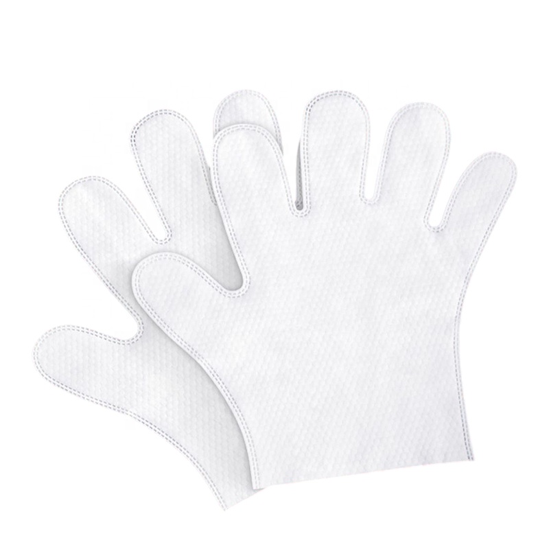 Custom Logo Portable Reusable Pet Grooming Gloves with Wet Cleaning Wipes OEM/ODM Acceptable
