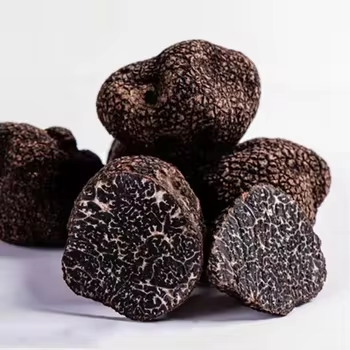 good quality Edible fungus truffle mushroom dried black truffles slicer Perigord Truffle