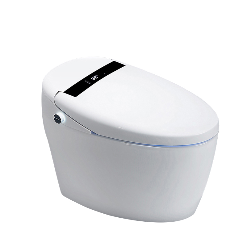 DAMSEL 110v Muti функция Свободно Стоящая Ванная комната Интеллектуальный туалет