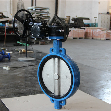 Cast iron ci wafer type disc rubber soft seal worm gear butterfly valve cad drawings