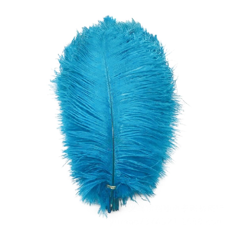 55-60cm ostrich feather products Cheap Plume Promotional Free Sample Customized South Africa Ostrich Feathers