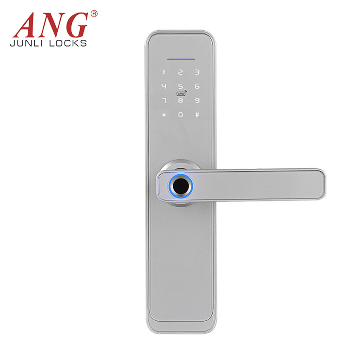 Household Security Digital Keyless WiFi Fingerprint Entry Password Door Lock Smart For Home Office Apartment