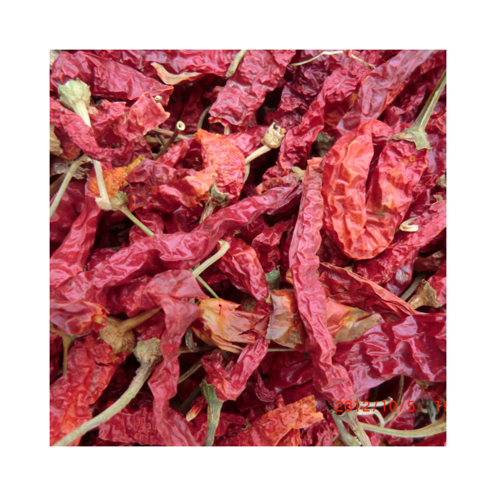 Hot sale Chinese High Quality Hot Pepper Dry Red Chili Export