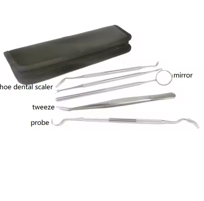 Other Dental Equipment Stainless SUS304 Dental Instrument Surgical Oral Dental Care Kit