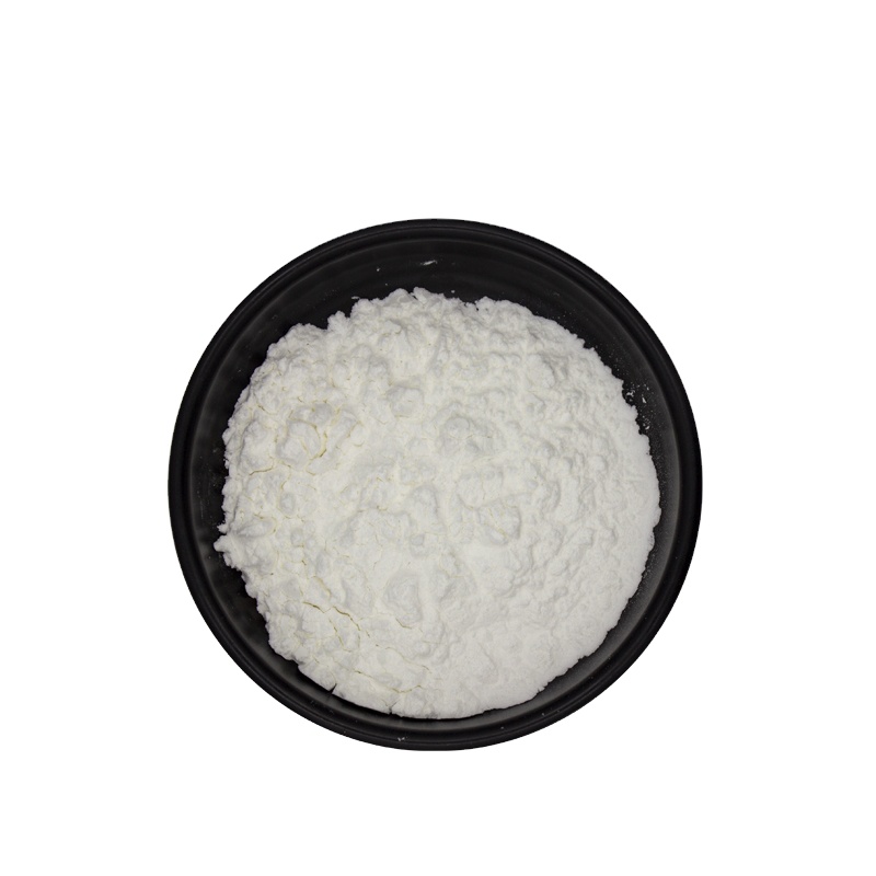 Оптовая продажа, 10 миллиардов cfu/г, порошок пробиотика Lactobacillus Plantarum