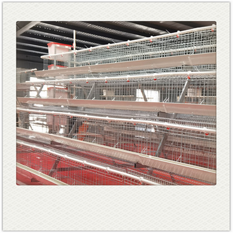 China Factory Manufacture chicken poultry cage for layer chicken roost cage