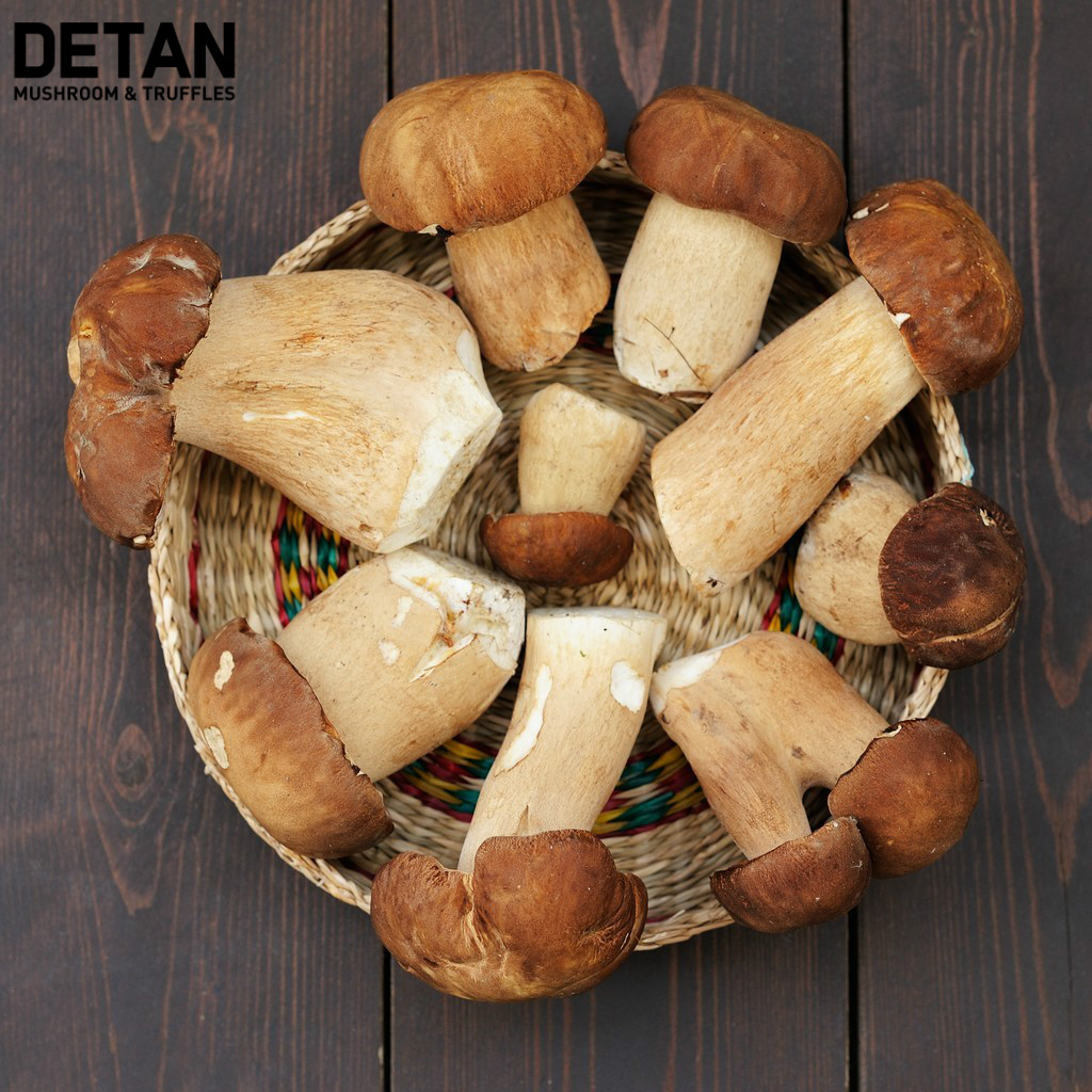 Detan дикая/культивированная заводская цена Funghi Porcini Frechi