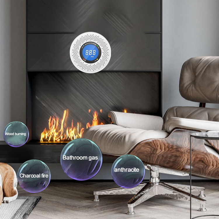 PGST NEW Standalone Gas Leak Sensor With LCD Display Buzzer CO Leakage fire alarm Carbon Monoxide Detector For Smart Home