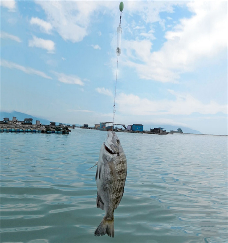 Automatic Fishing Double Hook Ejection Lazy Universal Full Speed All The Water