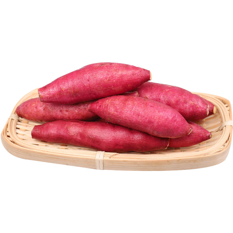 Оптовая продажа, свежие овощи, сладкий картофель