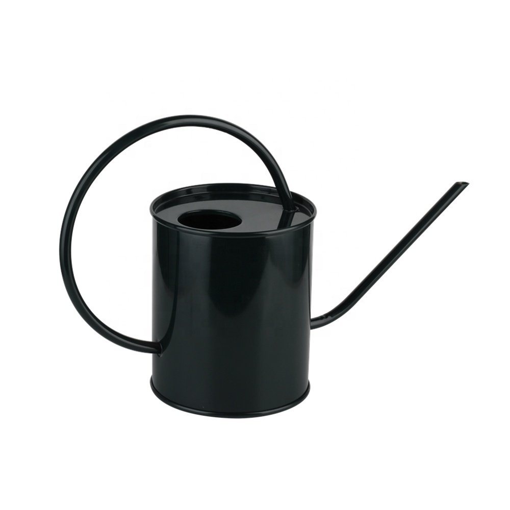 Large Capacity Long Pouring Spout Metal Watering Can