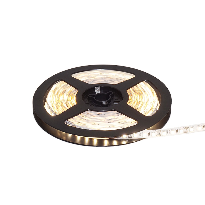 LED Light Kit 10m LED Strip Set Remote for Home Lighting 5M Single Double Roll Flexible Rope Light