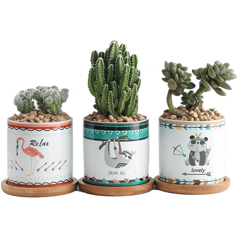 Manufacturers Selling Ceramic Animal Flower Pots