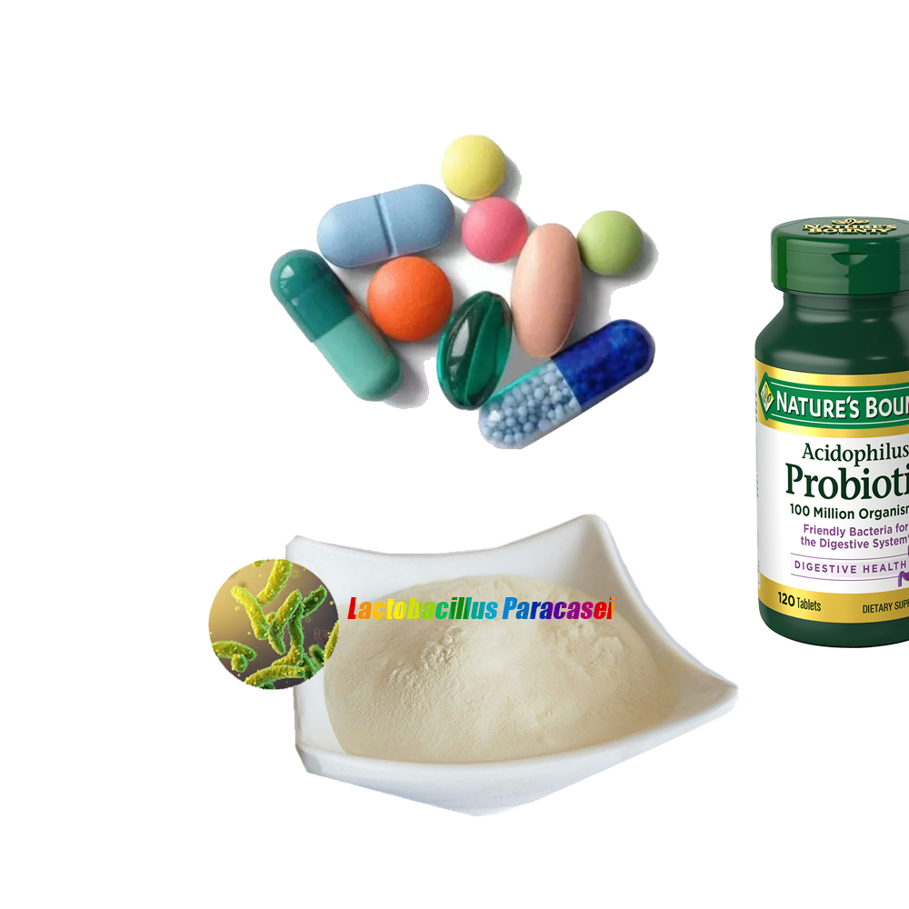 Probiotics Raw material probiotics powder of Lactobacillus paracasei for probiotics supplements tablets capsules powders sachets