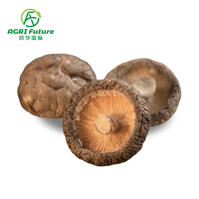 2021 Cheap Hot Selling Quality Dried Shiitake Mushrooms Cut Feet