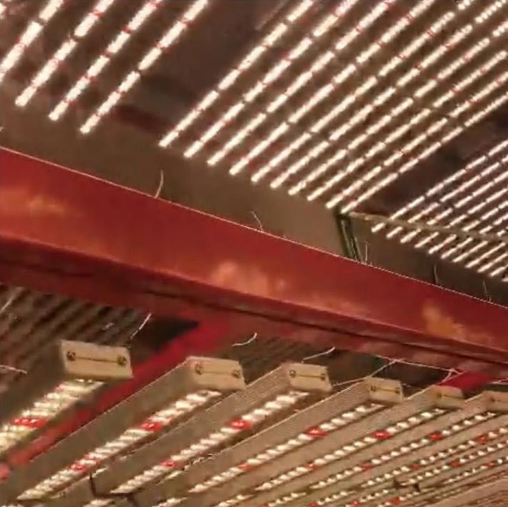 Натуральный белый 0,2 W индекс цветопередачи 80 2835 smd светодиодный чип для классной комнаты