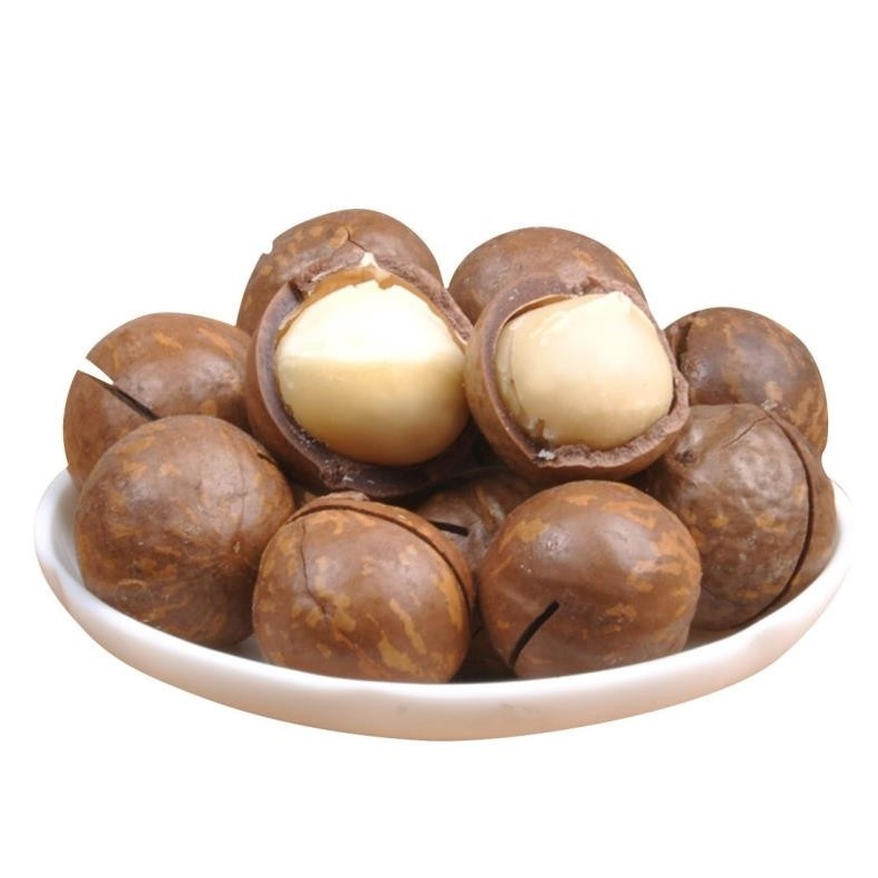 Hot Selling Cheap Large-Grain Nuts Shelled Hand-Peeled Macadamia Roasted Food Bags Packaging 100% Natural Nuts