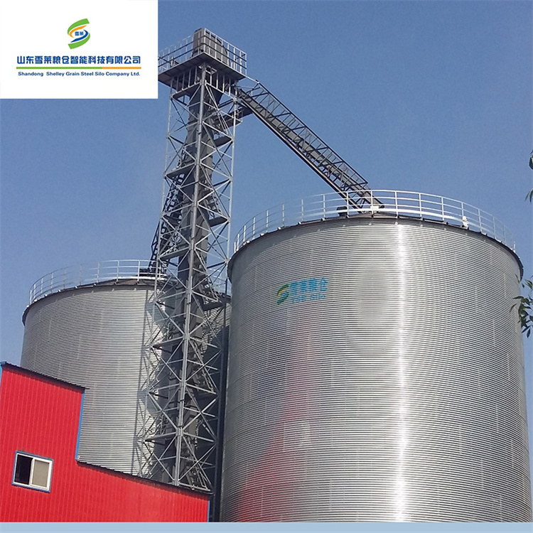 ODM Manufacturer Air-drying Flour Mill Flat Bottom Silos for Wheat Farm