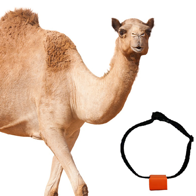 Super Quality 2G Secret Tracking Device Big Animal Gps Trakcers
