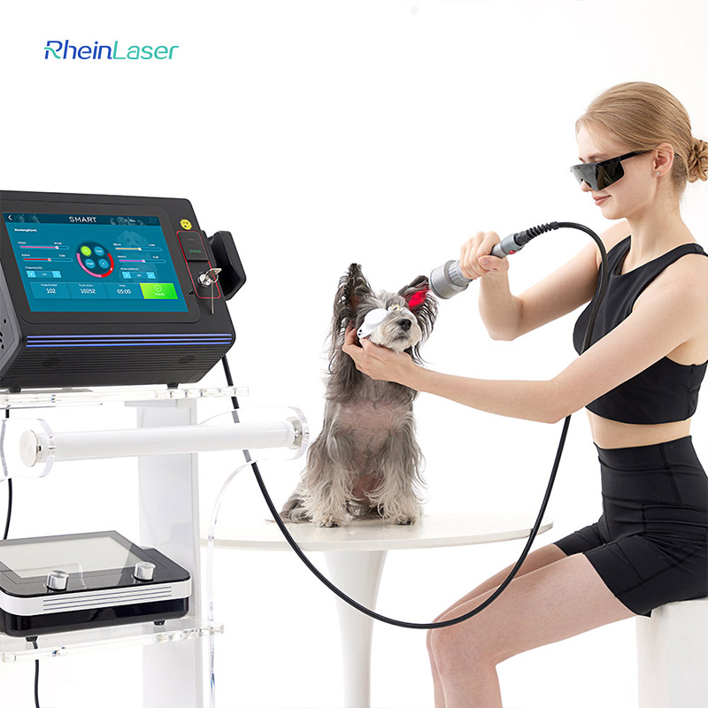 Vet Clinic Treatment 30w-60w Cold Laser Therapy Device with Multiwave for Pets Cats Dogs Injuries