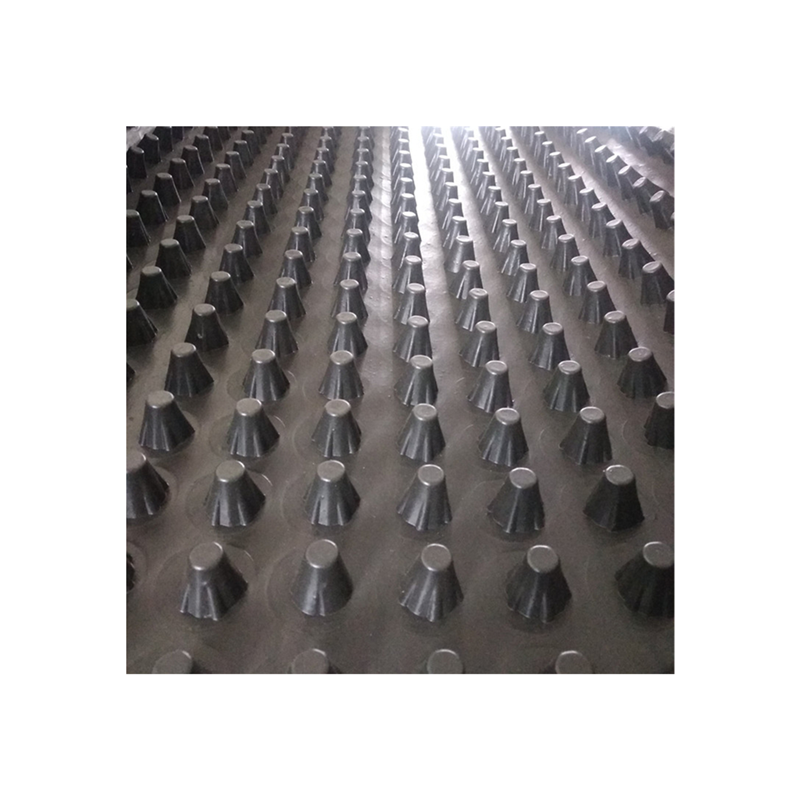 Professional Manufacturer roof greening concave convex drainage board 2.0 cm hdpe black color material drainage cell