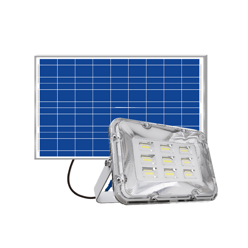 OEM Factory Direct Outdoor Solar Light IP65 10 Years Warranty