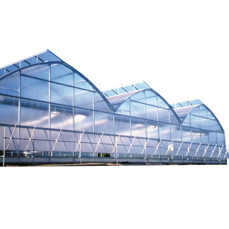 Multi-span greenhouse commercial greenhouse polycarbonate greenhouse for sale