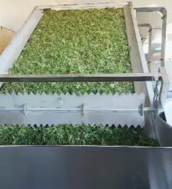 500 кг/ч газом нагреваещеяая Cbd конопляное система сушки сушилка