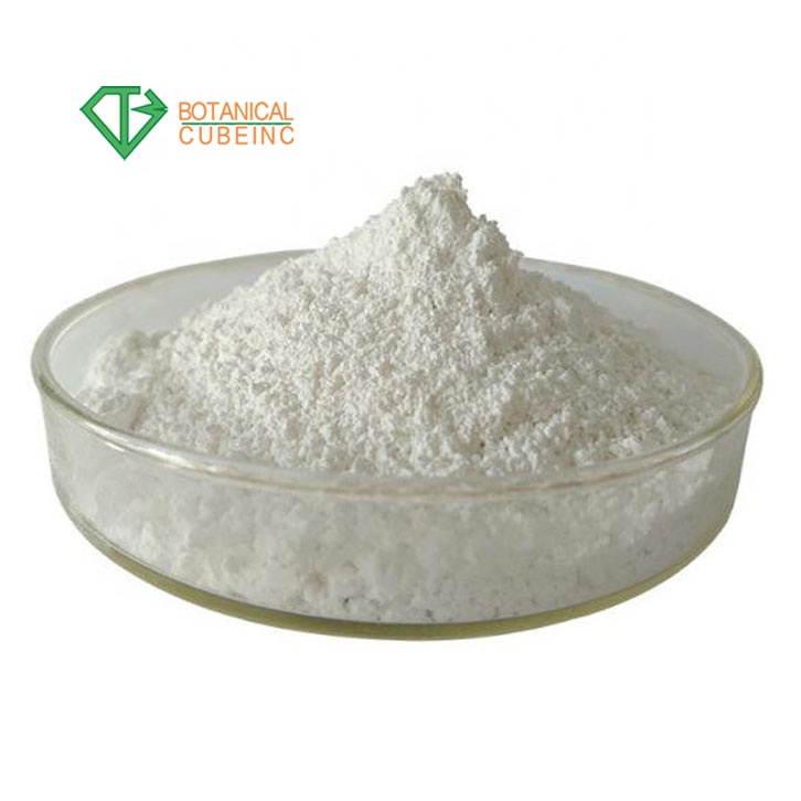 Wholesale bulk allium sativum extract freeze dried garlic powder price of garlic powder