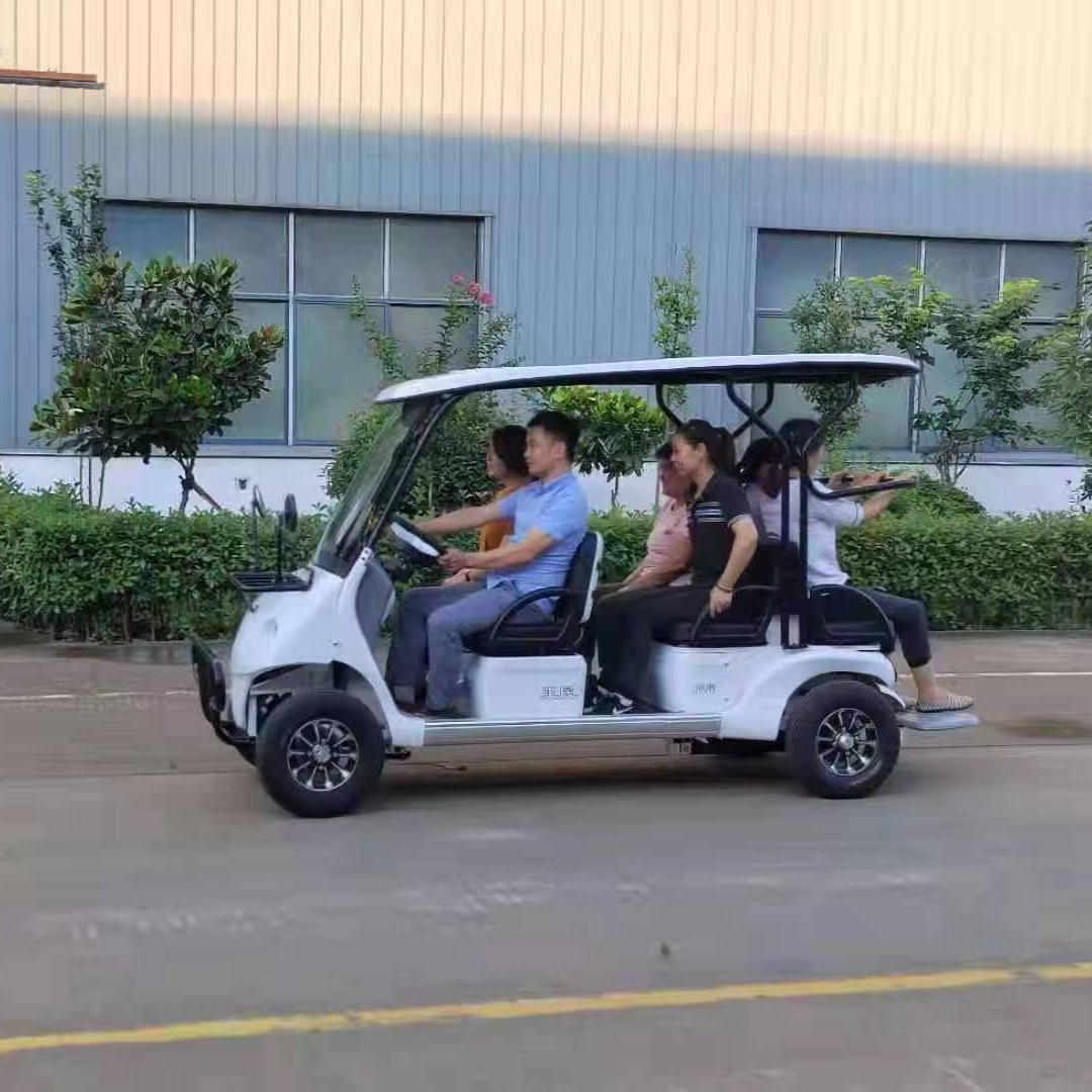 adult electric vehicle new energy car