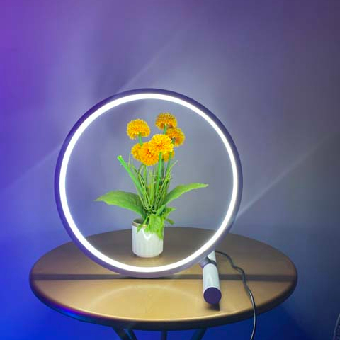 Chuse современные светодиодные RGB красочные настольные лампы с USB-разъемом, низкая цена, спальня, домашний декор, круглый свет, умная лампа среди американских ламп