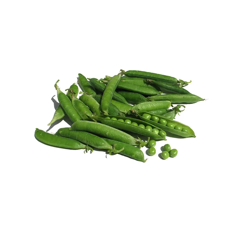 Green Peas with Good Price Natural Vegetable