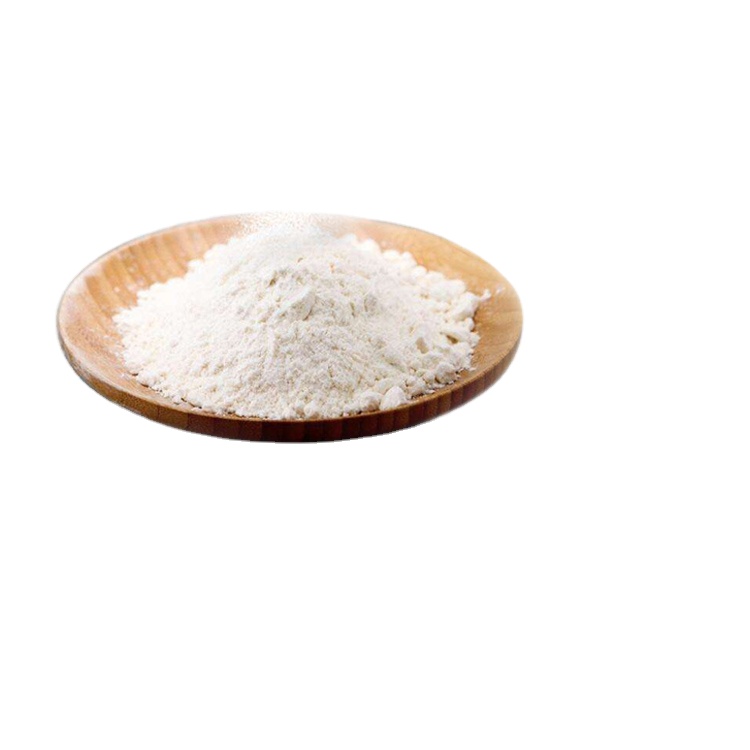 natural Bacillus coagulans HH-BC02 100 billion spore probiotic powder probiotics nutritional supplement high temperature stable