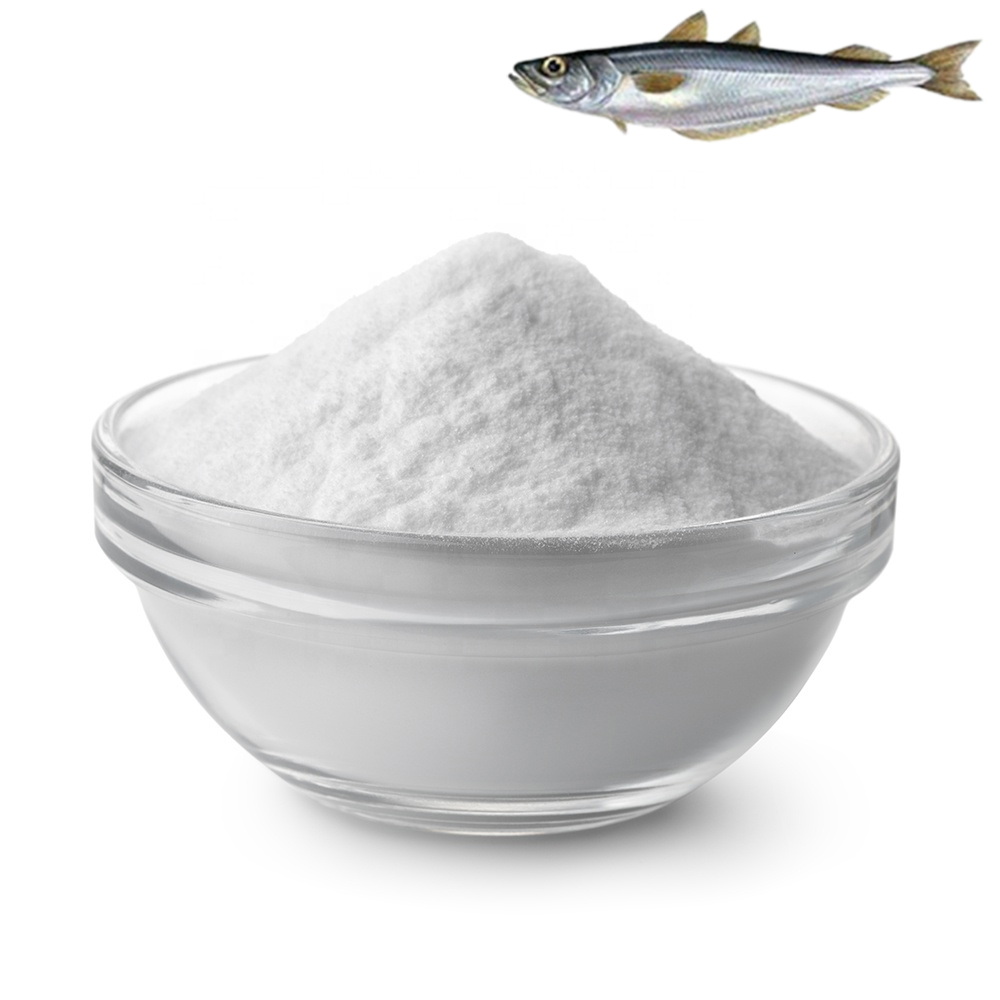 High quality natural bulk water soluble hydrolyzed fish collagen protein powder for anti-aging nutrition