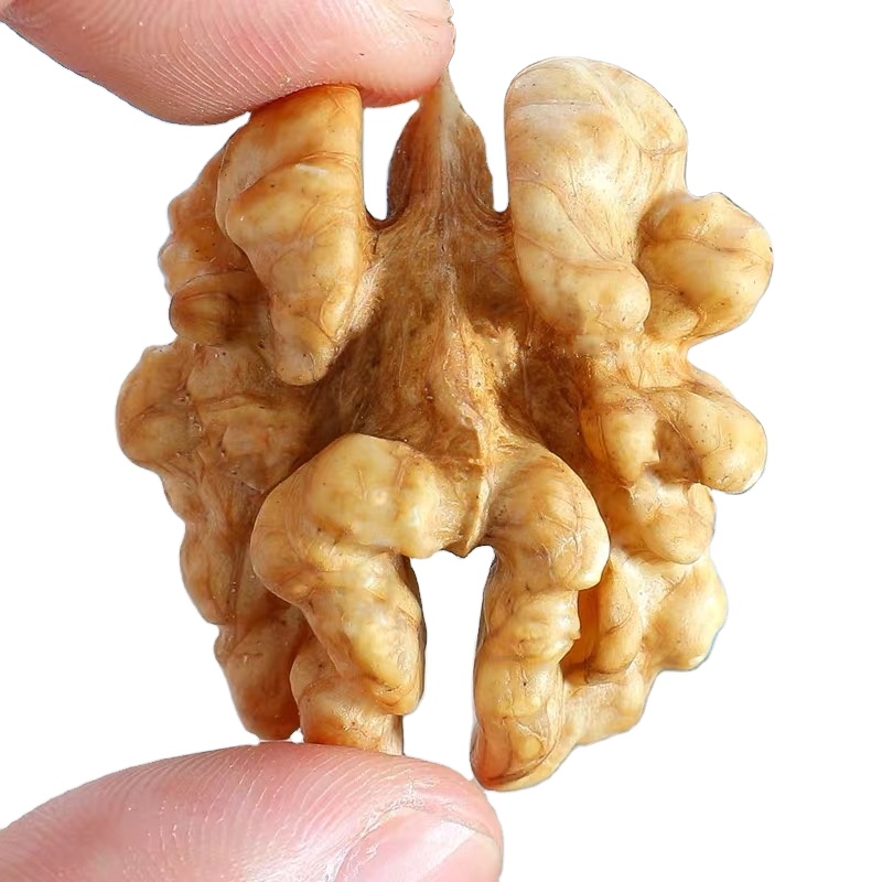 Premium Walnut Kernel in Walnuts Organic Walnuts Whole Kernels