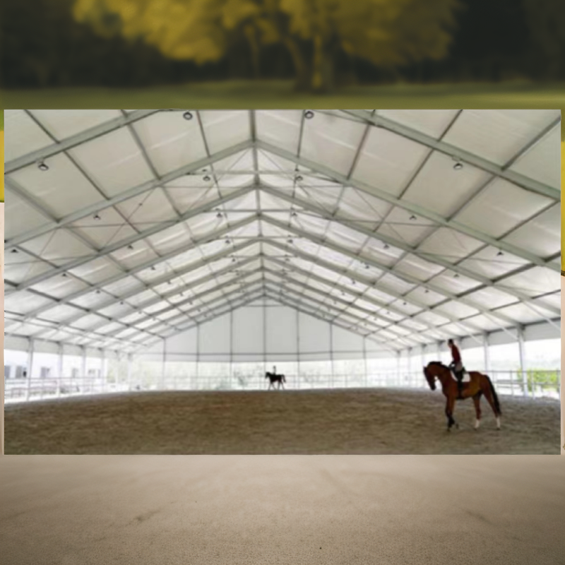 Wholesale Tent Price Aluminum Structure Outdoor Tent Large Luxury Court Racecourse Horse Farm Marquee Warehouse Tent