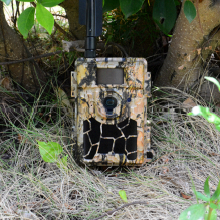 Willfine 4.8CG Outdoor Animal Motion Detection Waterproof Anti-theft Solar Charger 4g Huting Camera