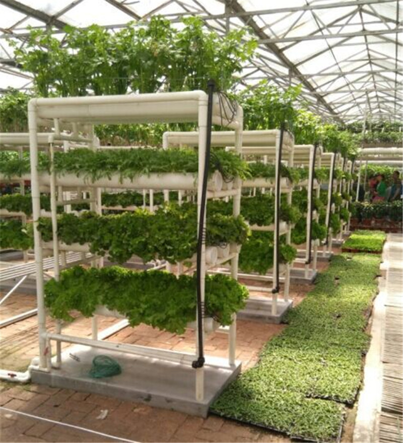 hydroponic growing systems