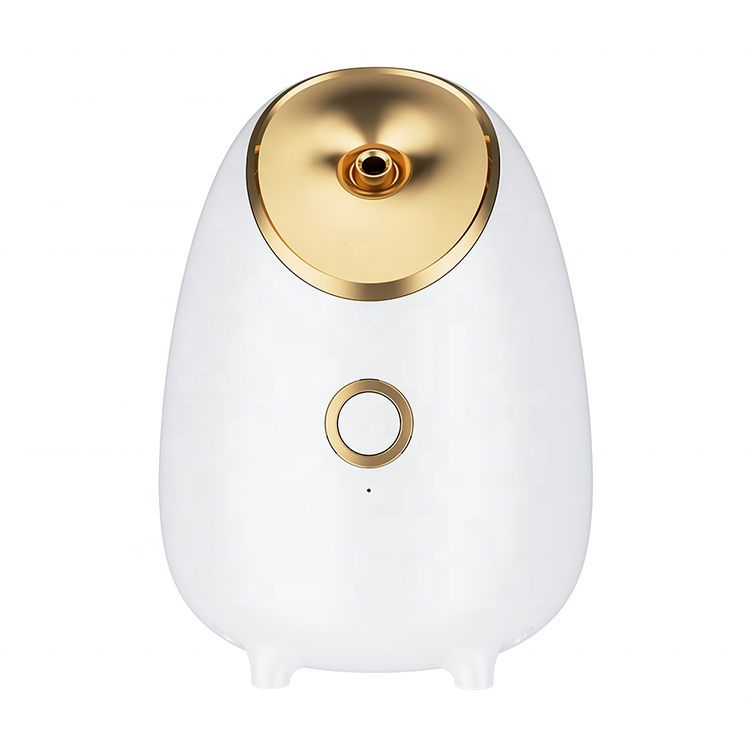 Nano Facial Steamer Home Use Cheap Facial Steamer with steamer Nano Face Spray