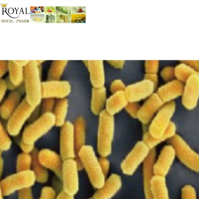 Manufacturer Well Made Lactobacillus rhamnosus with good quality