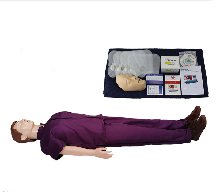 Cardiopulmonary Cardiopulmonary Training Simulator Model Human Body Emergency Model