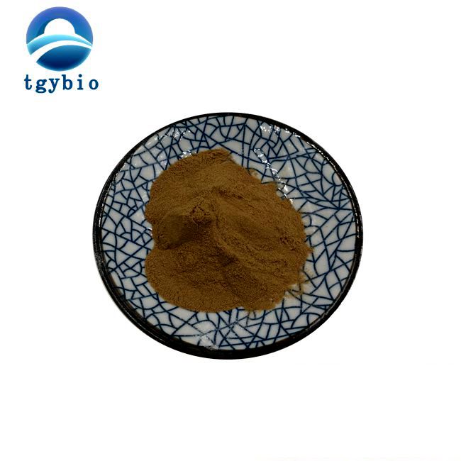 High Quality Best Price Organic Guarana Seed Extract Powder