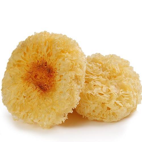 fungus mushrooms tremella