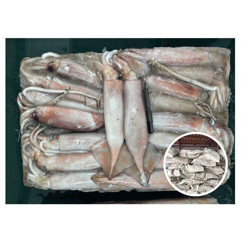 Морской Тихоокеанский кальмар размера 300-400 г