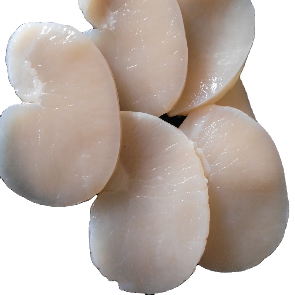 Frozen IQF fresh and new produced bay scallop for sale