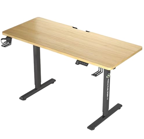 2023 Custom Price Electric Sit Stand Up Lift Table Frame Up And Down Single Motor Double Column Adjustable Desk With Desktop